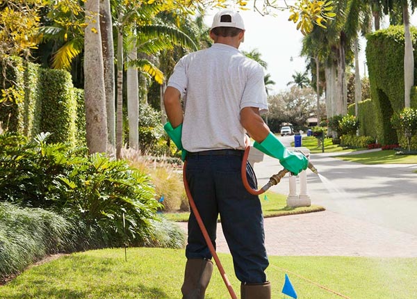About Mount Vernon AR Pest Control Pros